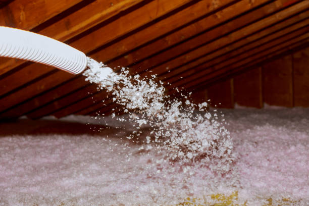 Best Insulation Maintenance and Repair in Beaufort, NC